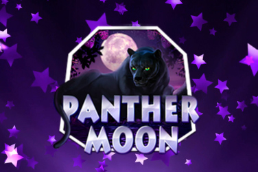 Аппарат Лунная Пантера